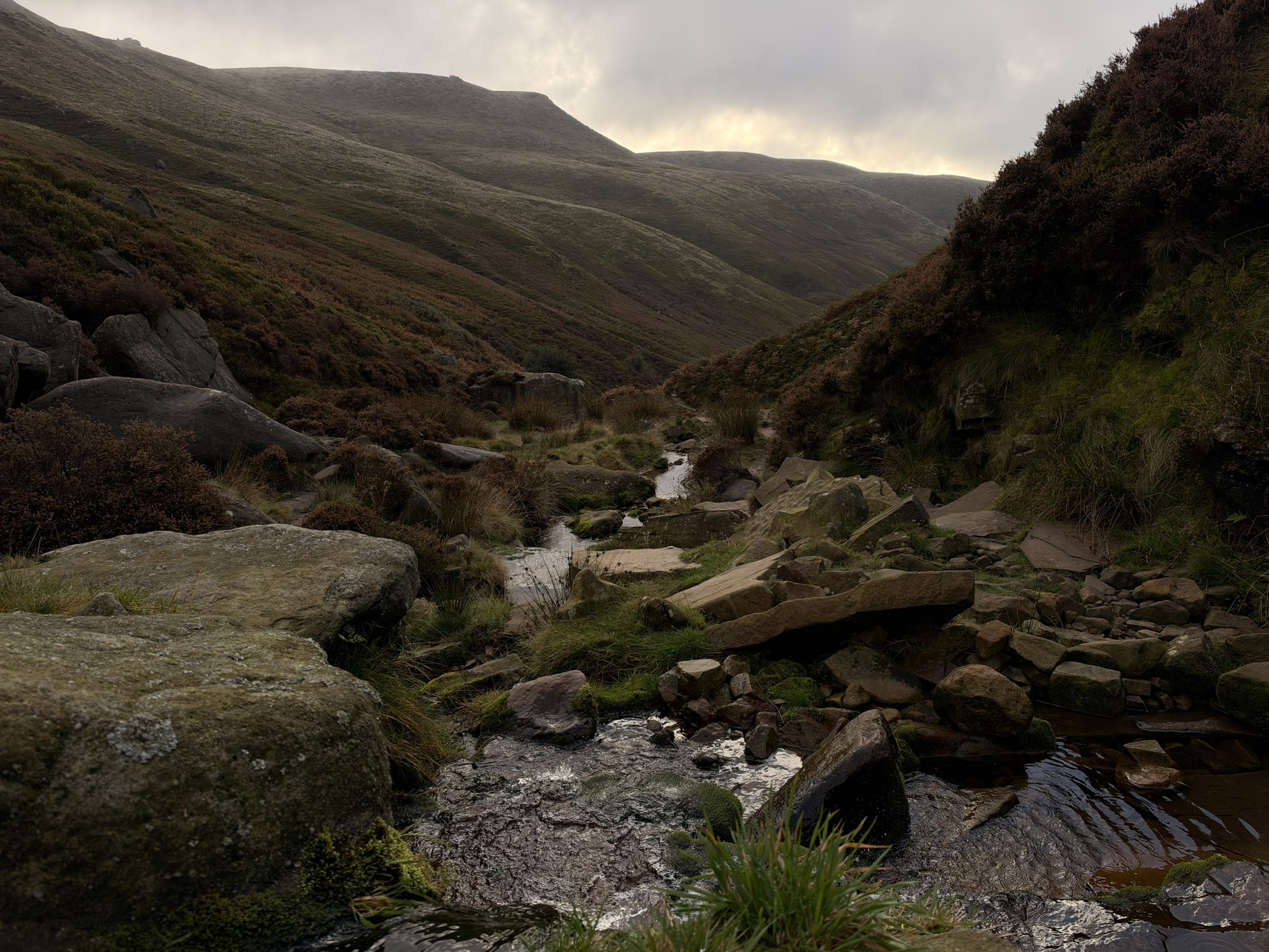 Stream